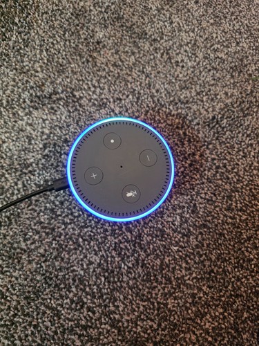 Amazon echo dot - amazon,